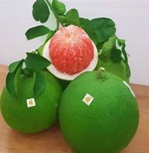 Green Skin Pomelo - Best price