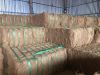 coconut-fiber-bales - ảnh nhỏ 2