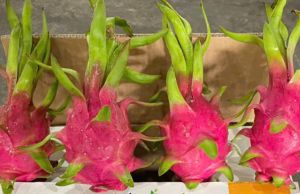 Fresh Dragon Fruit (Pitaya) – Premium Export Quality